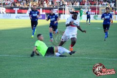 IMG_2534_risultato