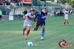 IMG_2564_risultato