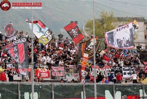 OIP NOCERINA LIVE