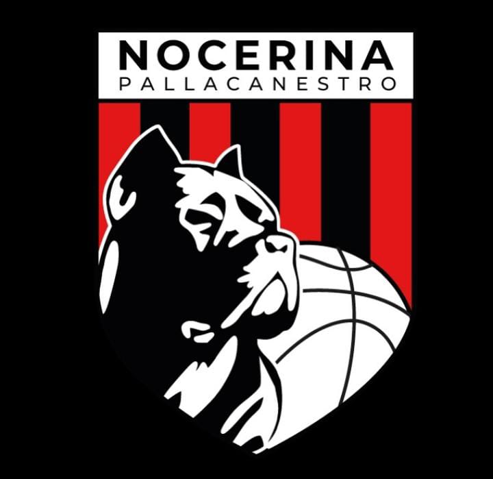 polisportiva nocerina: annunciata anche la compagine basket POLISPORTIVA NOCERINA: ANNUNCIATA ANCHE LA COMPAGINE BASKET IMG 20241018 WA0059