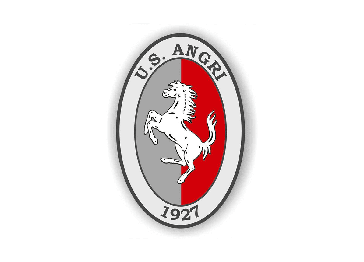 STEMMA ANGRi