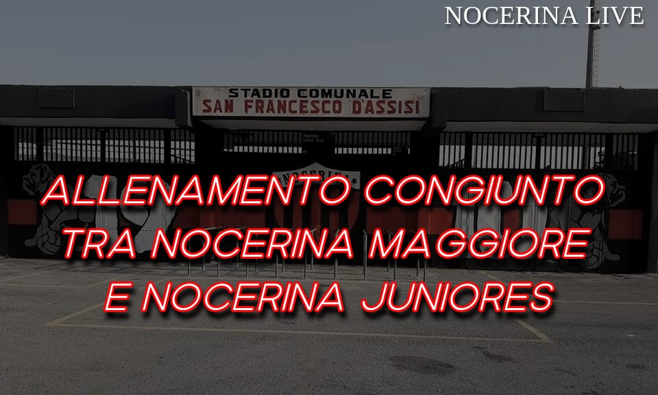 Stadio-San-Francesco-01-169237053