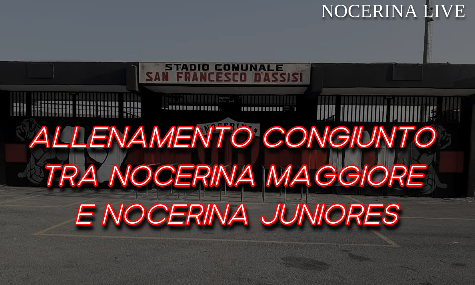 CONFERME E SORPRESE: NOCERINA 9 - JUNIORES 0 CONFERME E SORPRESE: NOCERINA 9 &#8211; JUNIORES 0 Stadio San Francesco 01 169237053