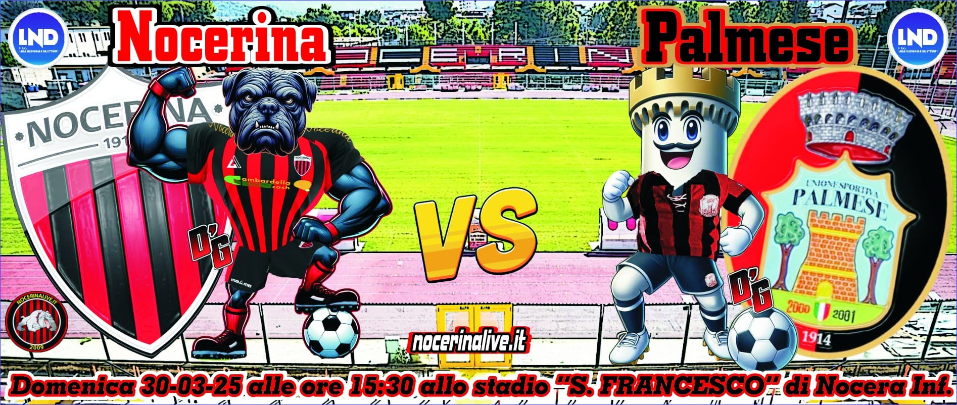 nocerina palmese