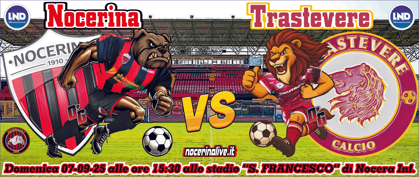 Locandina Animata campionato nocerinalive