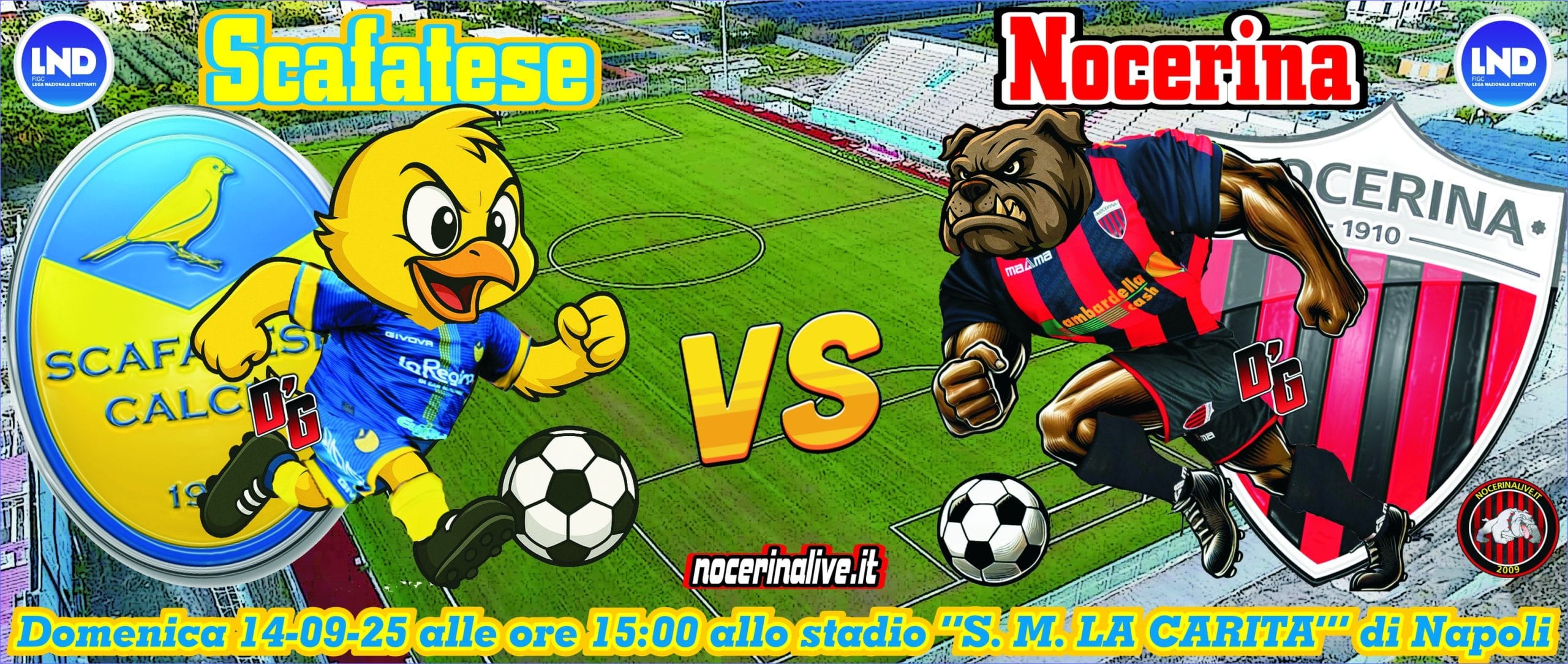 FT| SCAFATESE – NOCERINA 1-1