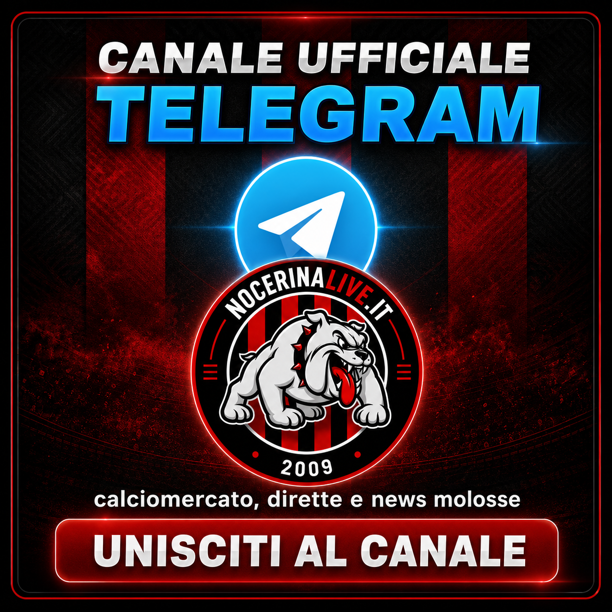 Unisciti al canale Telegram di Nocerina Live