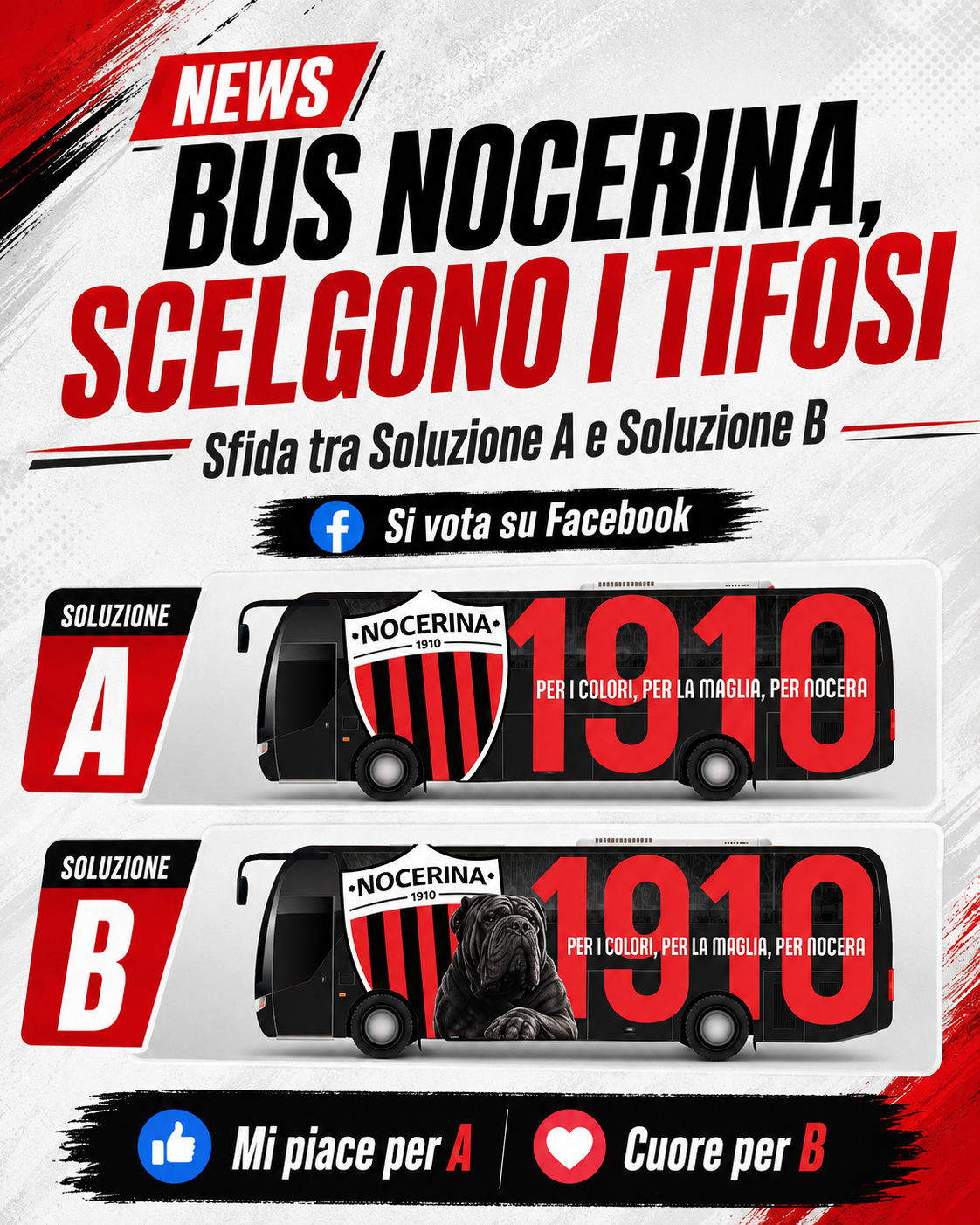 Nocerina, il nuovo bus lo scelgono i tifosi: sfida tra lo stemma e il Molosso