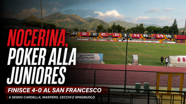 Nocerina, poker alla Juniores: Cardella, Sbrissa, Cecchi e Spagnuolo a segno